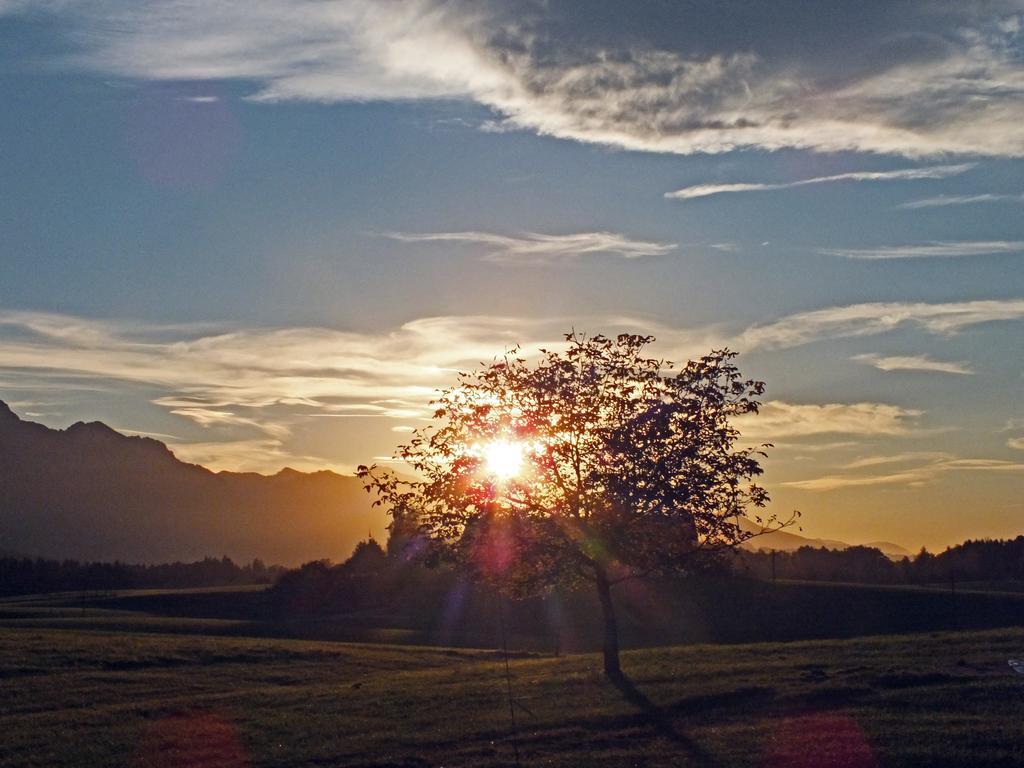 Beim Bicher กราเบนชตัดท์ ภายนอก รูปภาพ